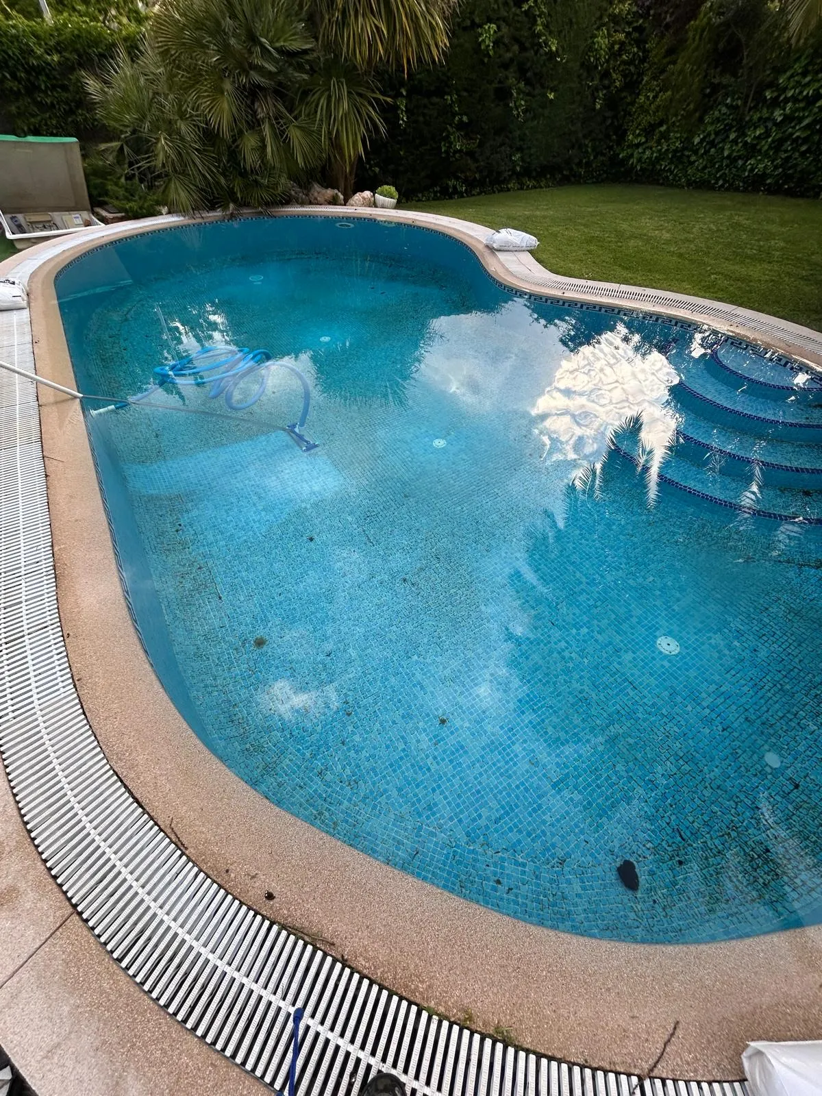 Piscina con forma de riñón y gresite azul, con el agua limpia