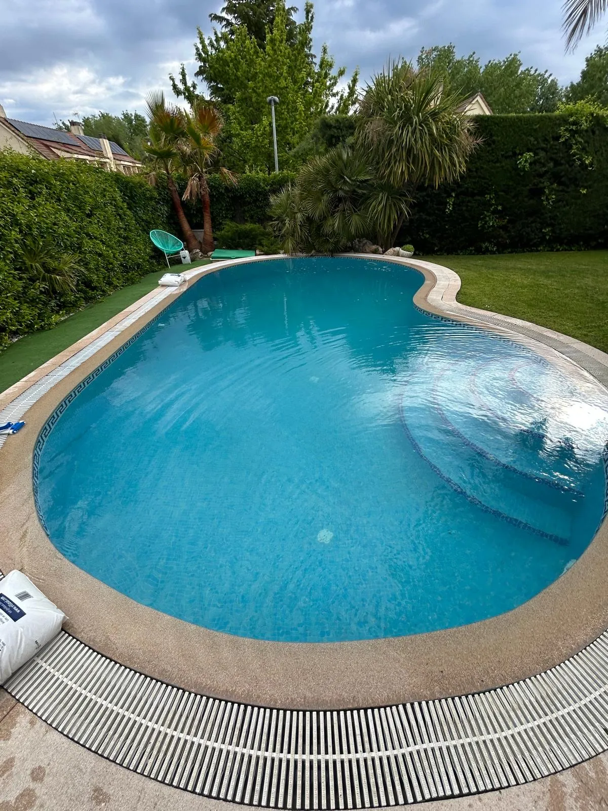 Piscina de riñón en un jardín, recién limpiada