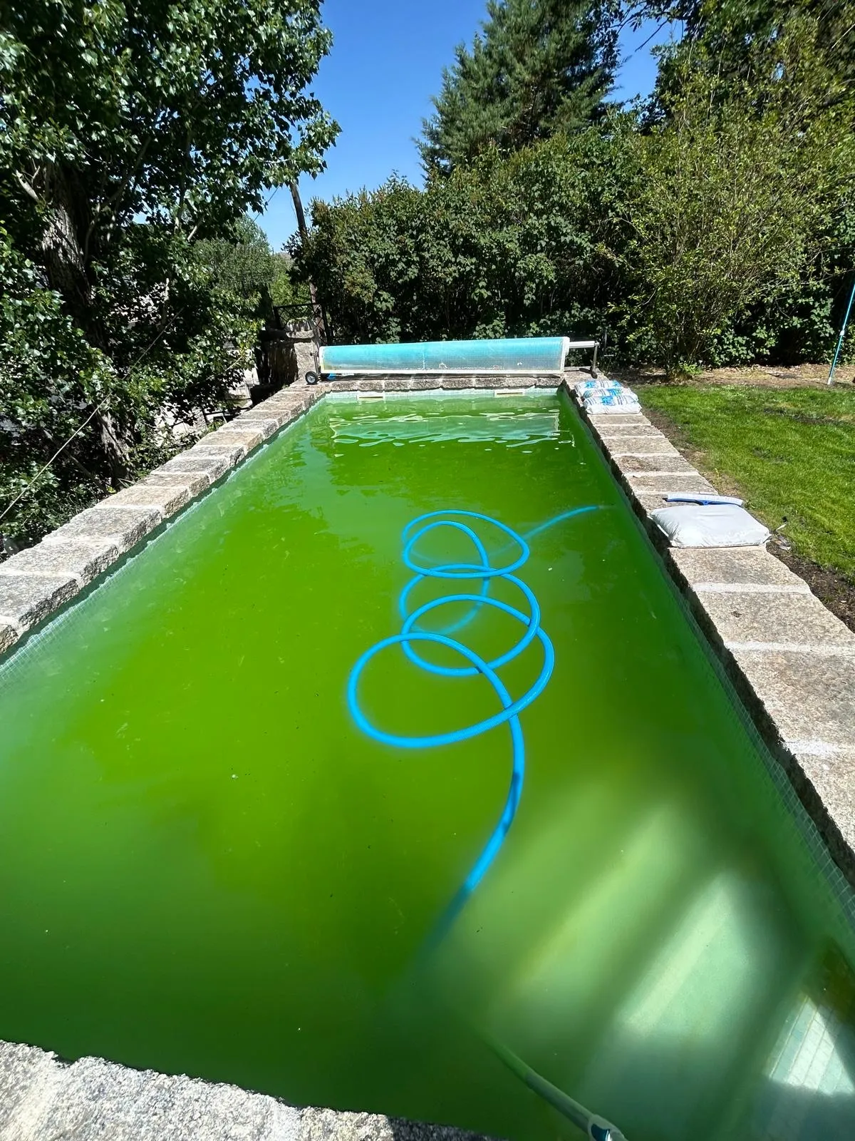 Piscina verde